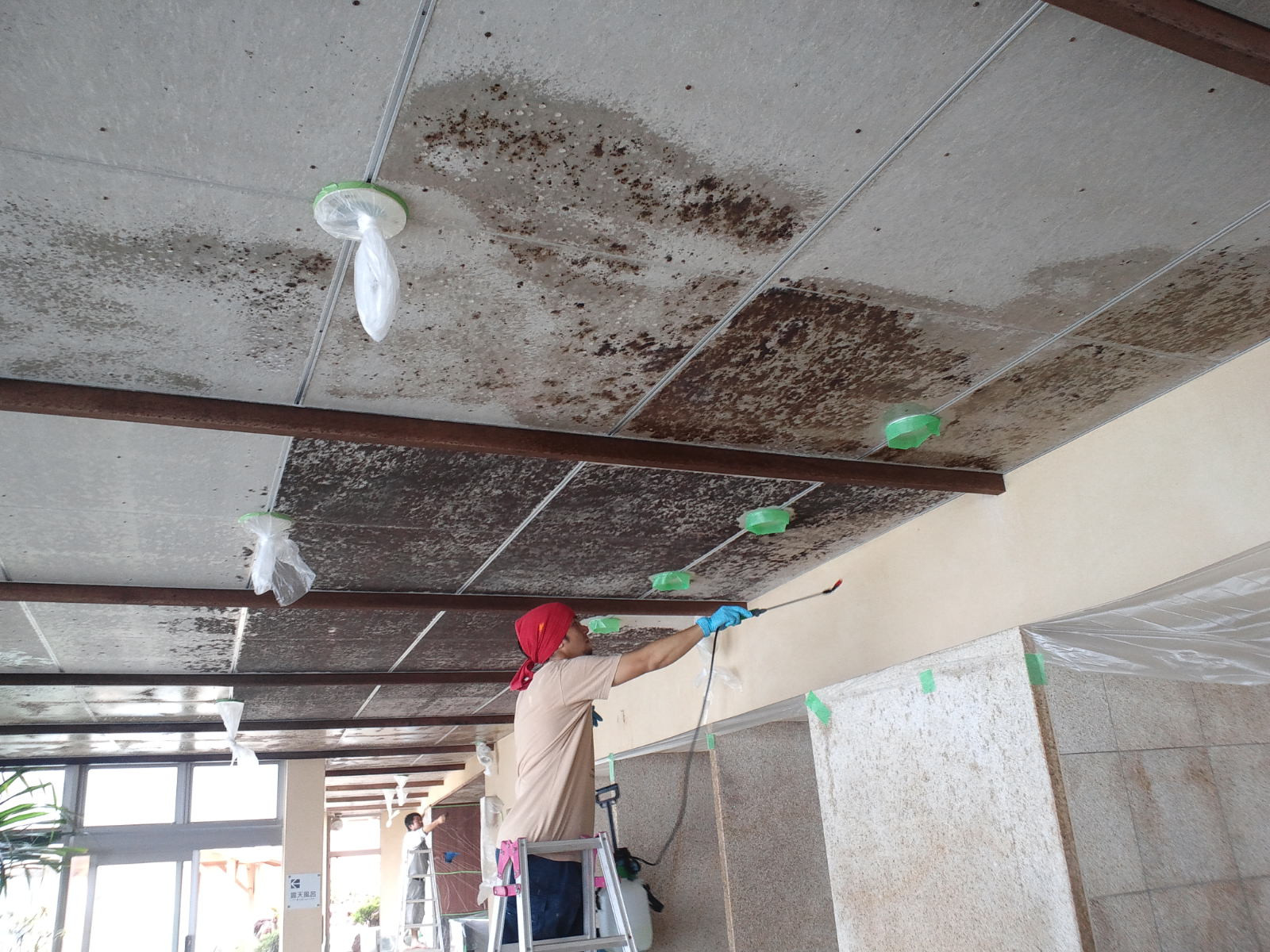 名古屋のカビ取り･株式会社明啓の口コミ情報