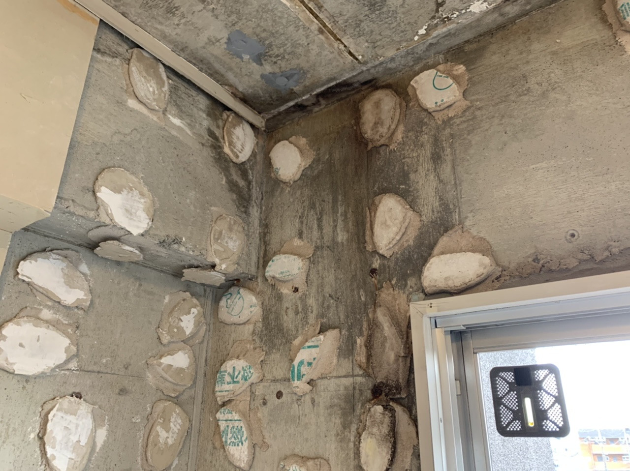 【愛知県除カビ】愛知県で雨漏り後の除カビ作業をしてきました。